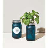 Basil Garden Jar